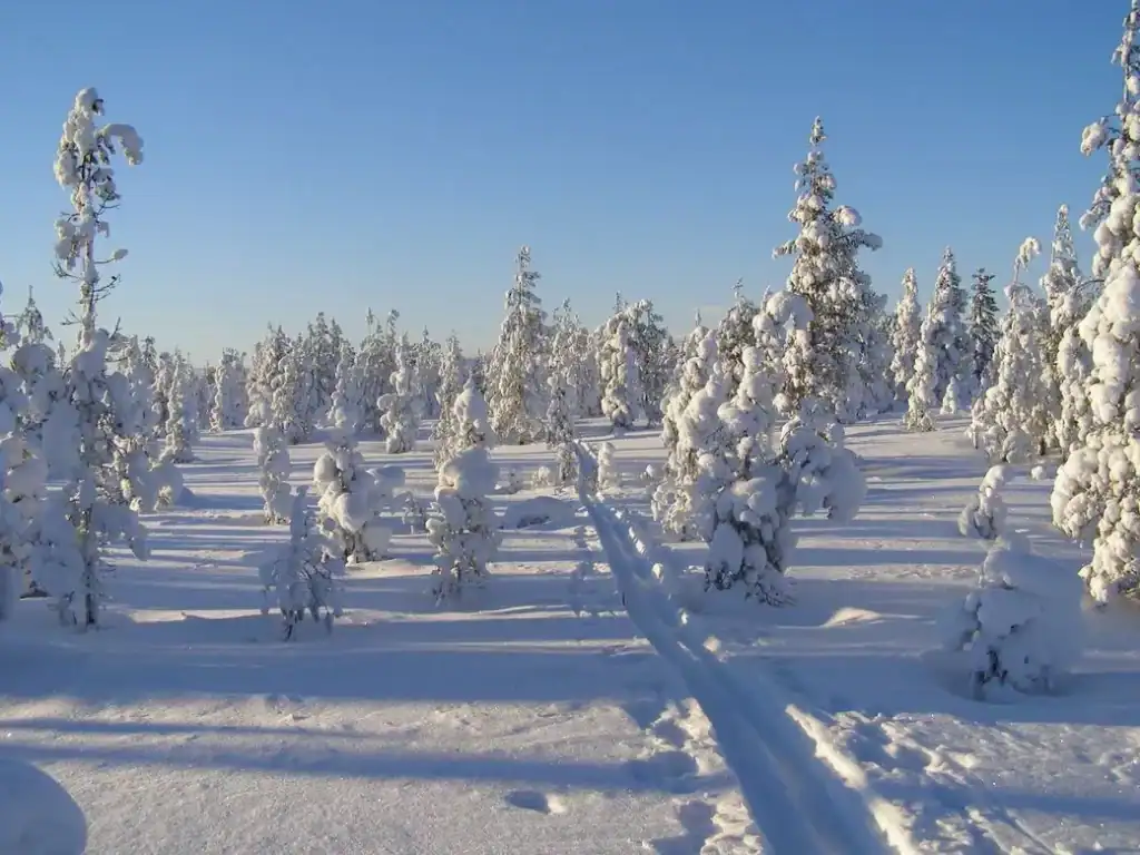 Nature experiences, Expériences Nature cross-country skiing