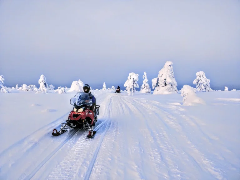 Full-Day Snowmobile Adventure With Lunch, North Wind Lapland