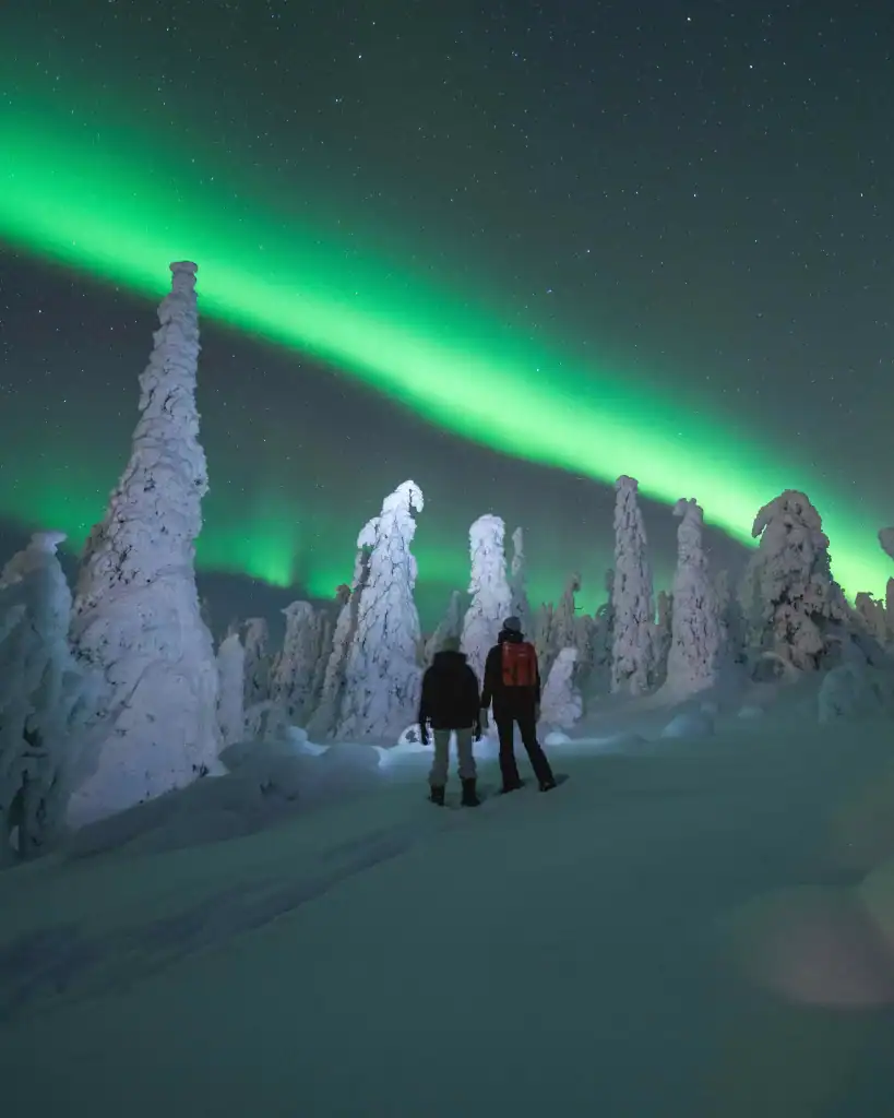 A breathtaking view of the Northern Lights illuminating snow-covered trees in Ylläsjärvi, Finnish La.