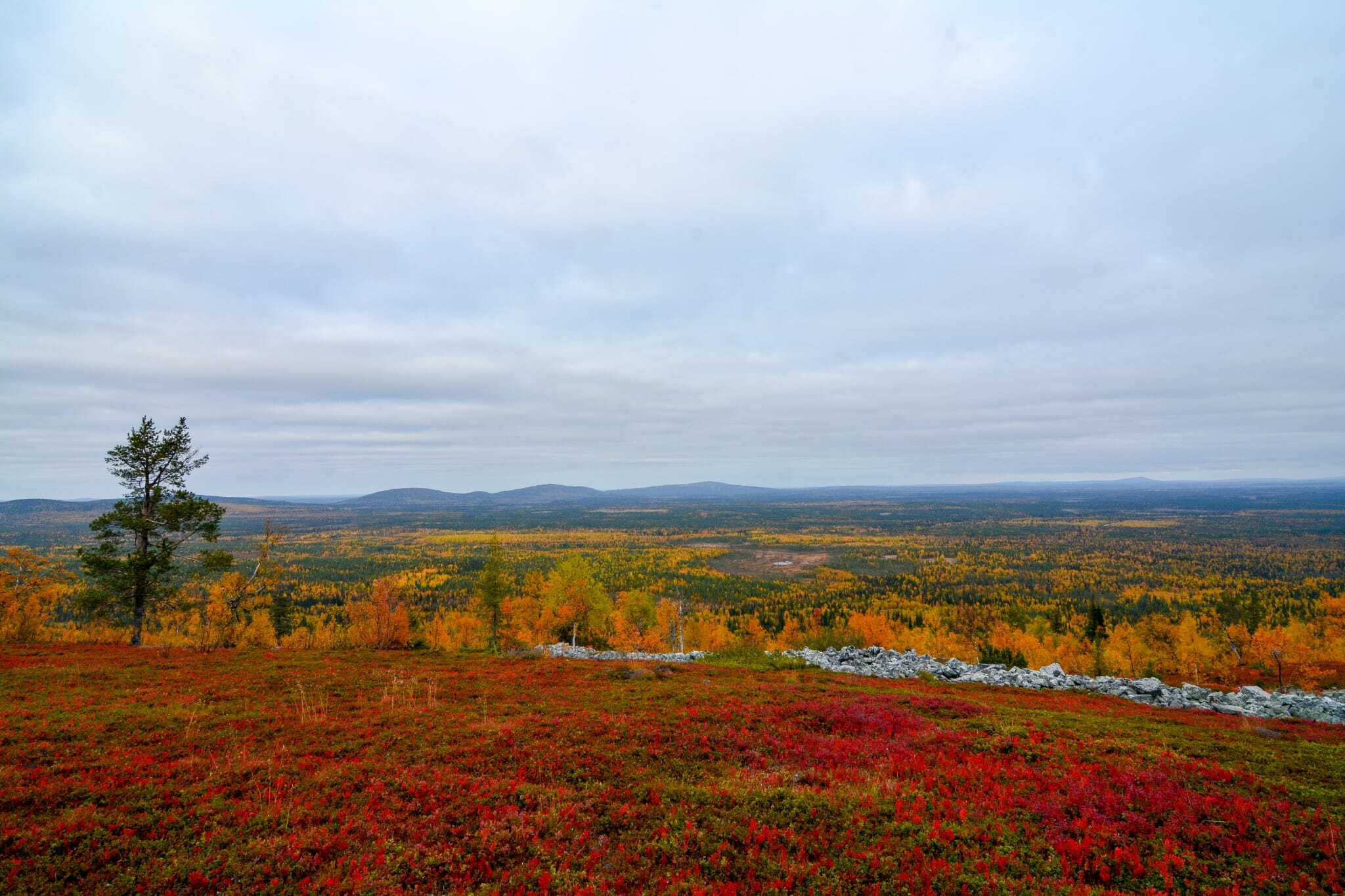 Scenic fell landscape Lapland summer day tour