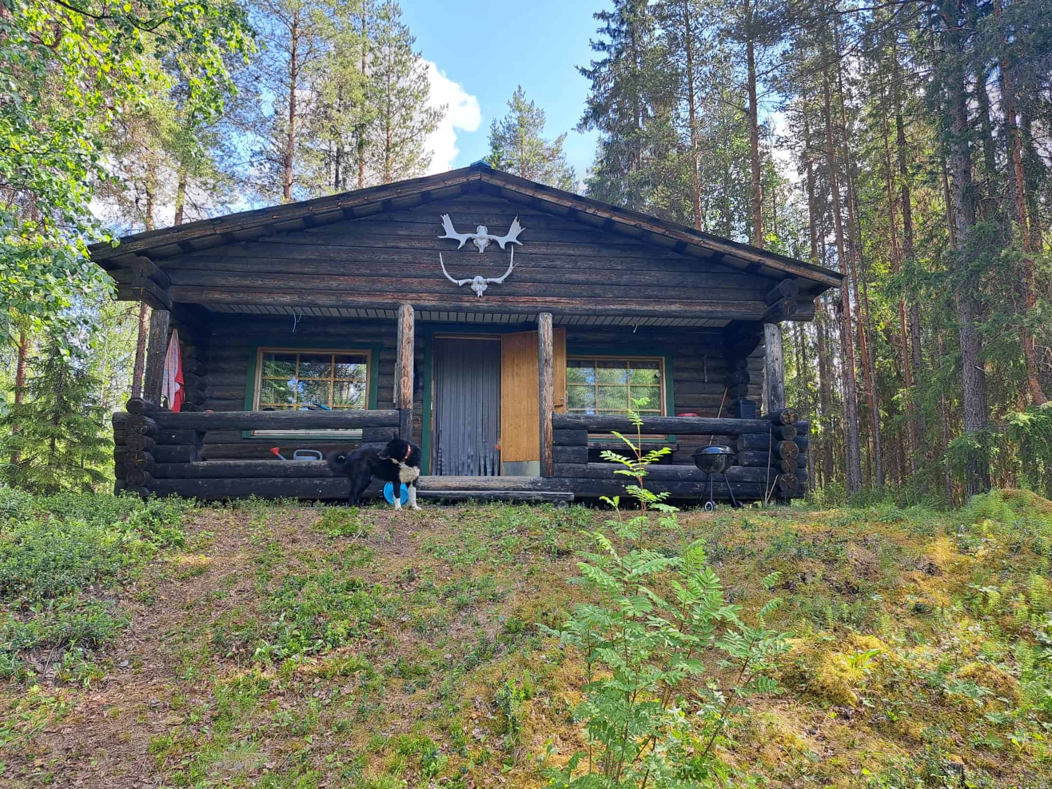 Wilderness log cabin Lapland river