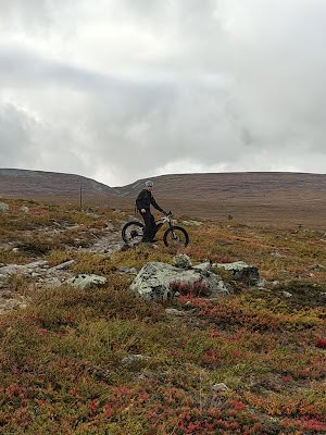 Mountain biking in Finnish Lapland's rugged landscape.