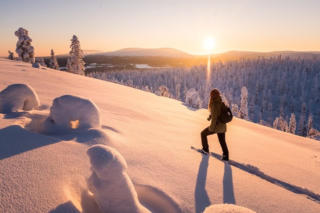 Person snowshoeing in snowy Lapland landscape during sunset with snow-covered trees.