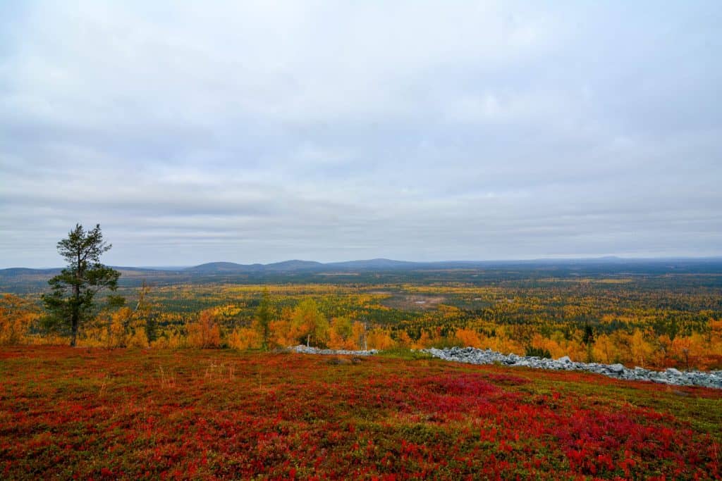 Autumn landscape in Finnish Lapland with colourful tundra and distant forested hills.