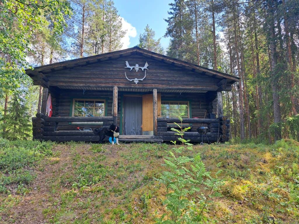 A rustic wooden cabin in a forest setting with decorative reindeer antlers on the roof.