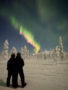 Couple watching the Northern Lights in a snowy forest in Finnish Lapland.